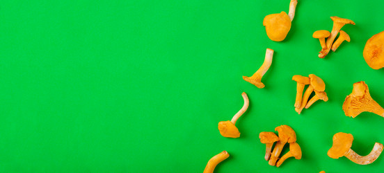 Similar image 21153304