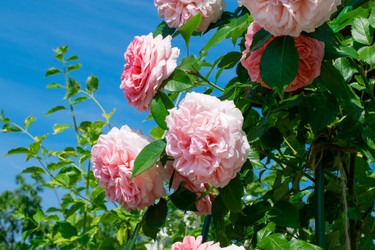 Similar image 21168183