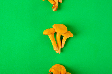 Similar image 21154921