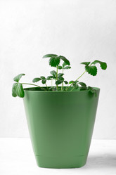 Similar image 21153307