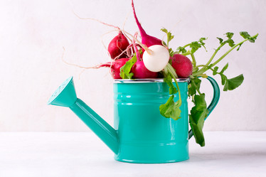 Similar image 21154134