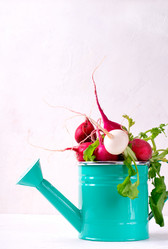 Similar image 21154135