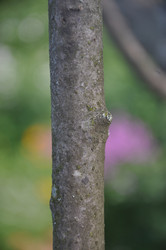 Similar image 21153314