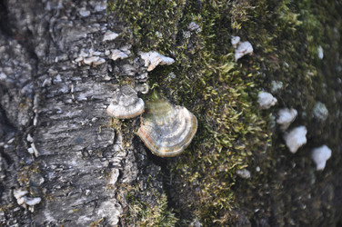 Similar image 21153322