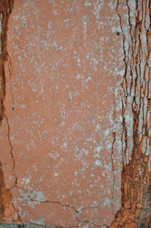 Similar image 21153326