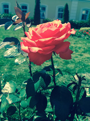 Similar image 21154138