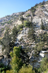 Similar image 21154144