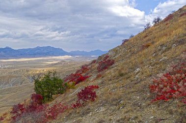 Similar image 21150193