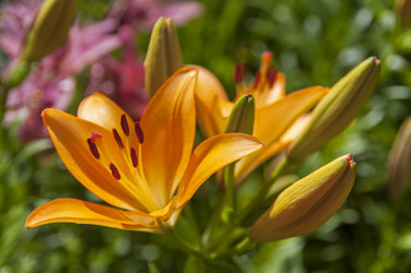 Similar image 21150199