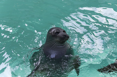 Similar image 21150201