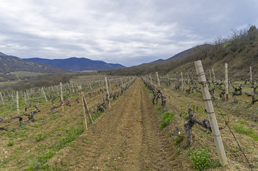 Similar image 21150202