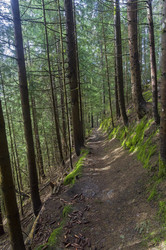 Similar image 21150203