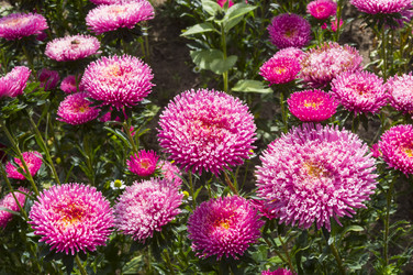 Similar image 21150206