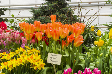 Similar image 21150214