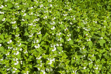 Similar image 21150215