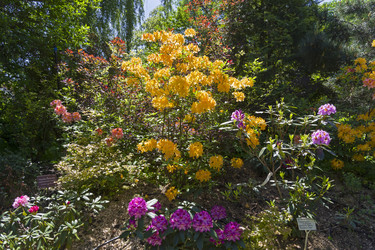 Similar image 21150222