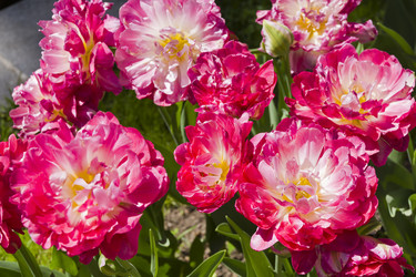 Similar image 21150223