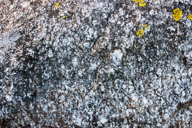 Similar image 21155204