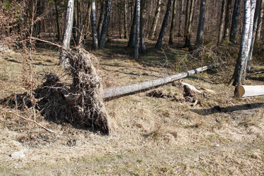 Similar image 21155210