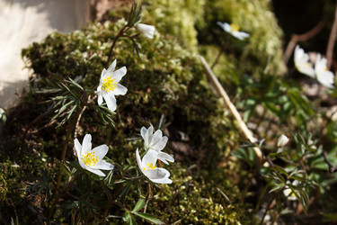 Similar image 21155212