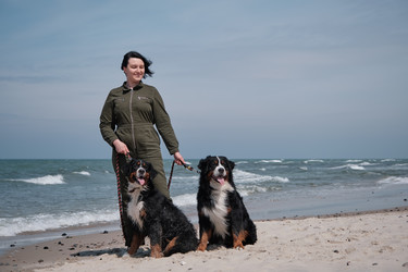 Similar image 21152987