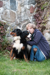 Similar image 21153000