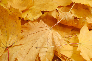 Similar image 21153003