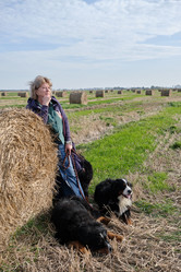 Similar image 21153008