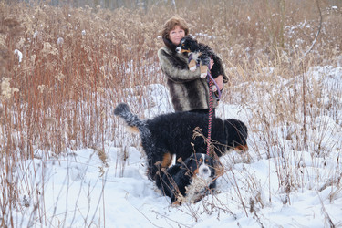 Similar image 21155240