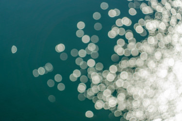 Similar image 21156753