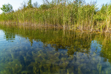 Similar image 21156760