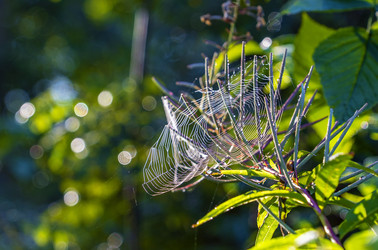 Similar image 21156761