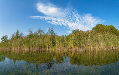 Similar image 21156768