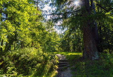 Similar image 21156786