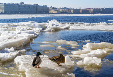 Similar image 21156789