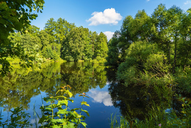 Similar image 21156790