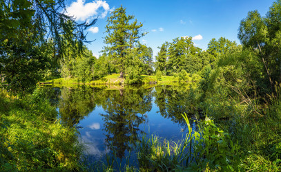 Similar image 21156794