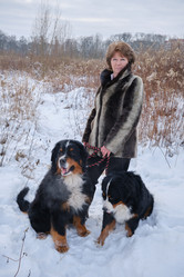 Similar image 21151837