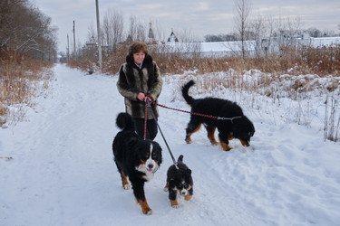 Similar image 21151839