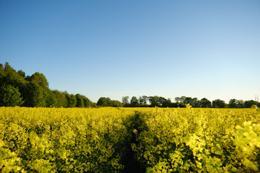 Similar image 21153035