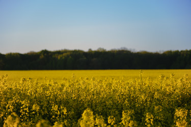 Similar image 21153038