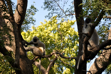 Similar image 21154153