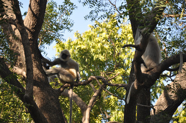 Similar image 21154157