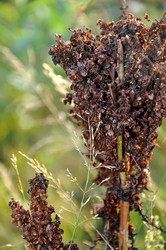 Similar image 21154161