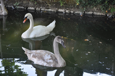 Similar image 21153341