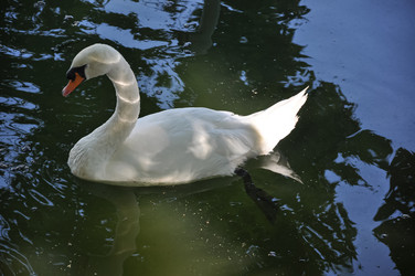 Similar image 21153342