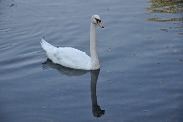 Similar image 21153343