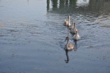 Similar image 21153345