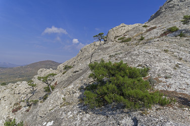 Similar image 21150992