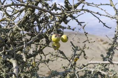 Similar image 21150999